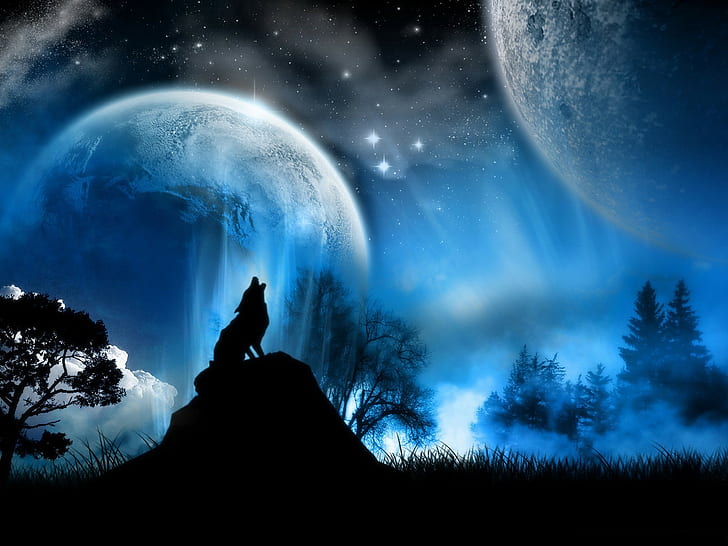 HD wallpaper: wolf animals fantasy art artwork night moon | Wallpaper Flare
