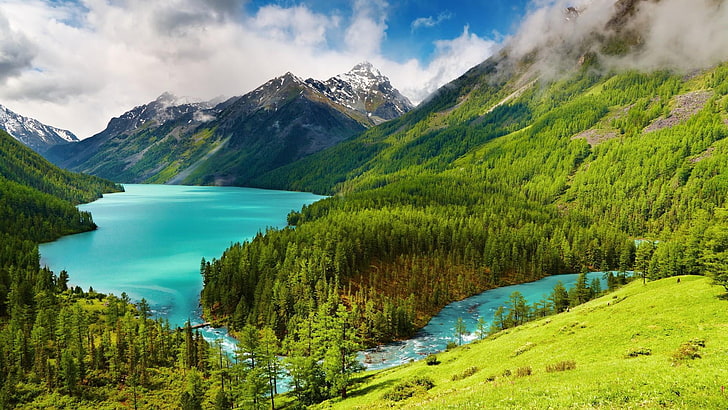 kucherlinskoe lake, russia, altay, forest, amazing, mountains, HD wallpaper
