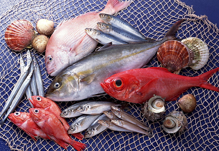 assorted-color fish, seafood, variety, freshness, raw Food, market