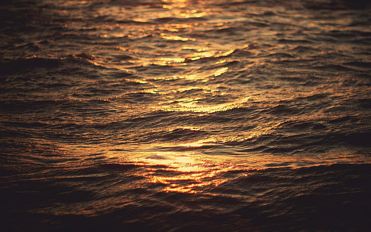 agua, luz, mar, naturaleza, oceano, reflejo, HD wallpaper