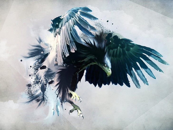 white and green feather decor, eagle, birds, artwork, feathers, HD wallpaper
