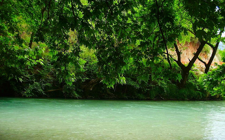 calm river, nature, landscape, Greece, trees, green, spring, water, HD wallpaper