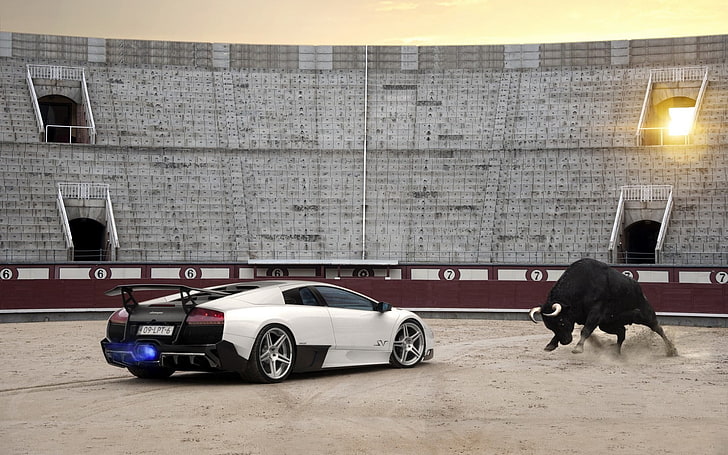 luxury cars, Lamborghini, Bull, motor vehicle, one animal, mammal