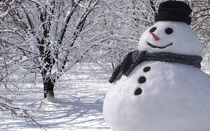 snowman, winter, white, nature, carrot, smiling, cold temperature, HD wallpaper