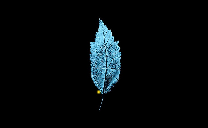 Fringe TV Series   A Leaf With An Embedded..., blue quill wallpaper, HD wallpaper