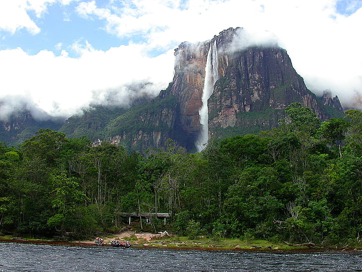 forest behind mountain, mount roraima, venezuela, landscape, blurred