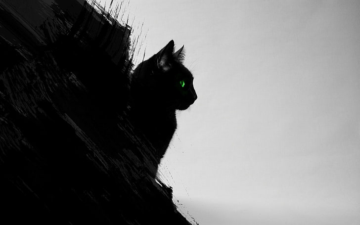 black cats, animals, digital art, green eyes, artwork, gray
