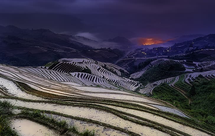 dawn, morning, China, field, sunrise, rice fields, Guangxi, HD wallpaper