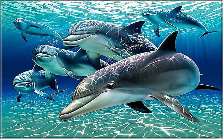 Dolphins Wallpaper For Pc, Tablet And Mobile Download 1920×1200