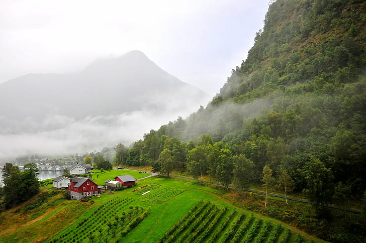 green fields during daytime, norwegian, norwegian, Farm House, HD wallpaper
