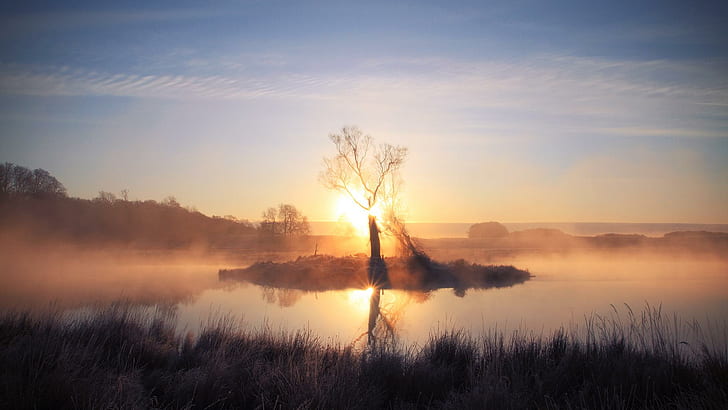 Misty Sunday Morning, island, grass, tree, pond, sunrise, nature and landscapes, HD wallpaper