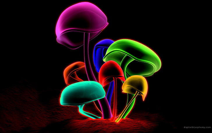 multicolor cgi mushrooms Abstract 3D and CG HD Art, HD wallpaper