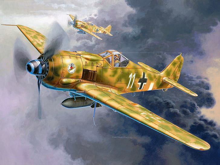 World War II, fw 190, Focke-Wulf, Luftwaffe, Germany, airplane, HD wallpaper