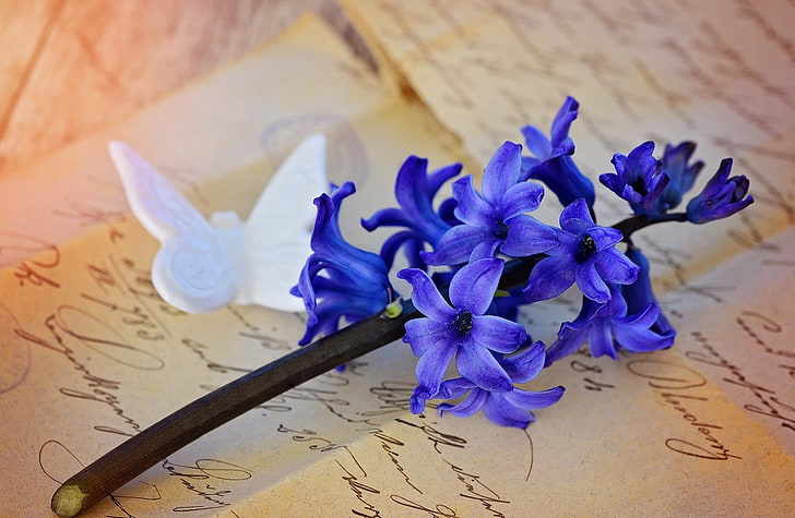 Beautiful Blue Hyacinth, purple petaled flower, Vintage, Spring, HD wallpaper