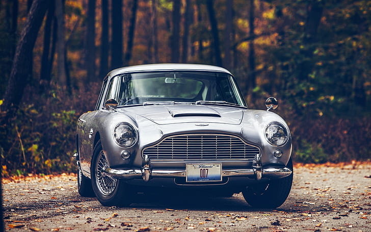 Aston Martin, Aston Martin DB5, car, Fall, forest, James Bond, HD wallpaper
