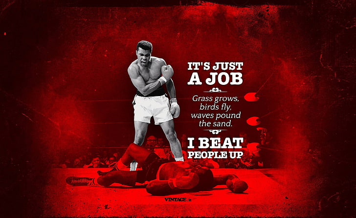 Boxing, Sports, Quote, red, text, full length, western script, HD wallpaper