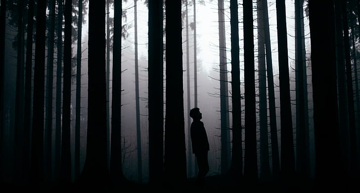 forest, people, monochrome, silhouette, HD wallpaper