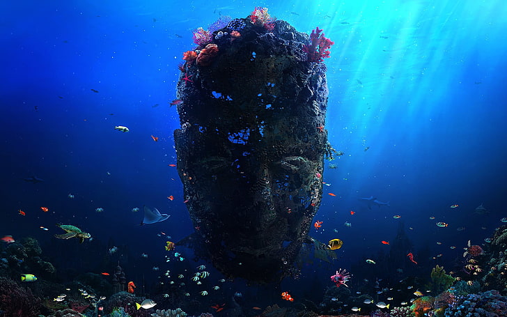 shoal of fish, digital art, Desktopography, underwater, coral, HD wallpaper