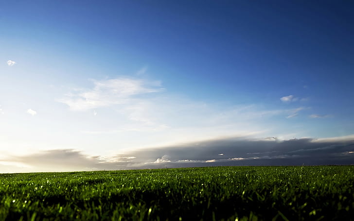 nature, grass, landscape, sky, clouds, HD wallpaper