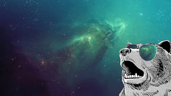 HD wallpaper: space, animals, humor, space art, bears, turquoise, glasses |  Wallpaper Flare