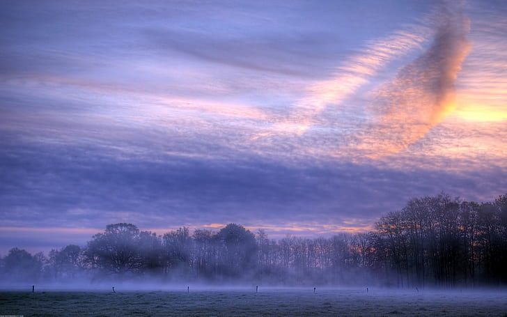 Morning, dawn, sunrise, clouds, fog, trees, HD wallpaper