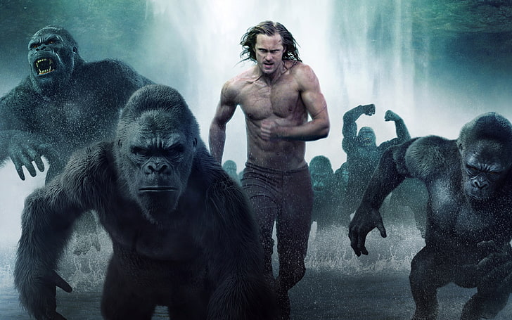 Rory J. Saper As Young Tarzan The Le, Tarzan movie poster, Movies, HD wallpaper