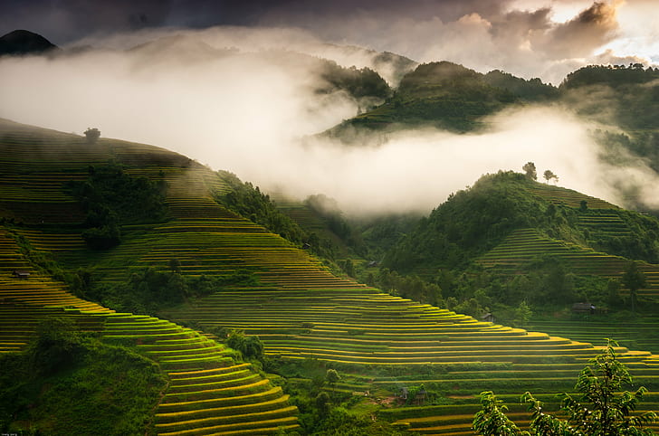 rice terraces aerial view, MCC, La, Nà, Hẩu, VietNam, PENTAX, HD wallpaper