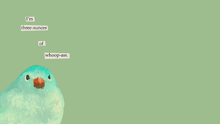 untitled, humor, copy space, indoors, human body part, text, creativity, HD wallpaper
