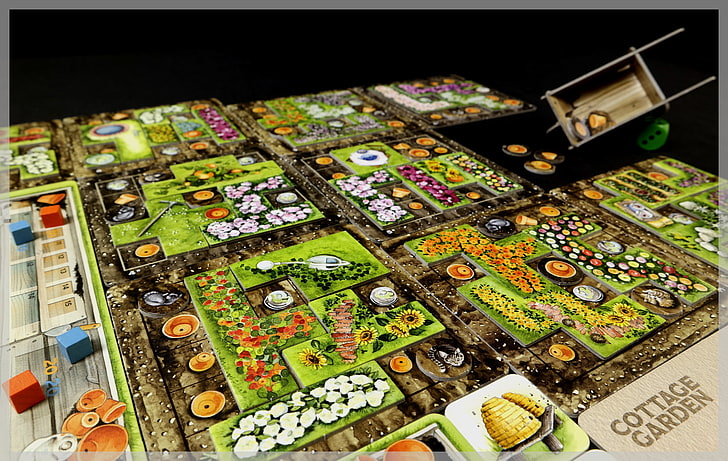 board games, cottage garden, high angle view, multi colored