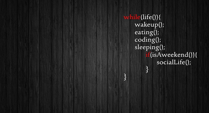HD wallpaper: Life, programming code text, Artistic, Typography, coding,  computer | Wallpaper Flare