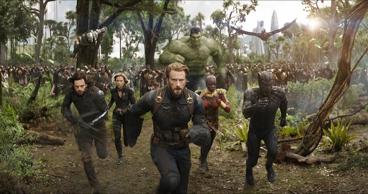 Incredible Hulk movie still series, Avengers: Infinity War, Black Panther (Marvel Comics), HD wallpaper