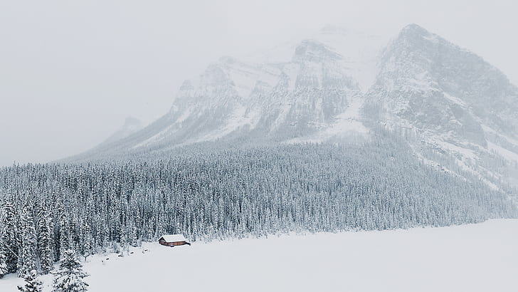 snow, cabin, trees, HD wallpaper