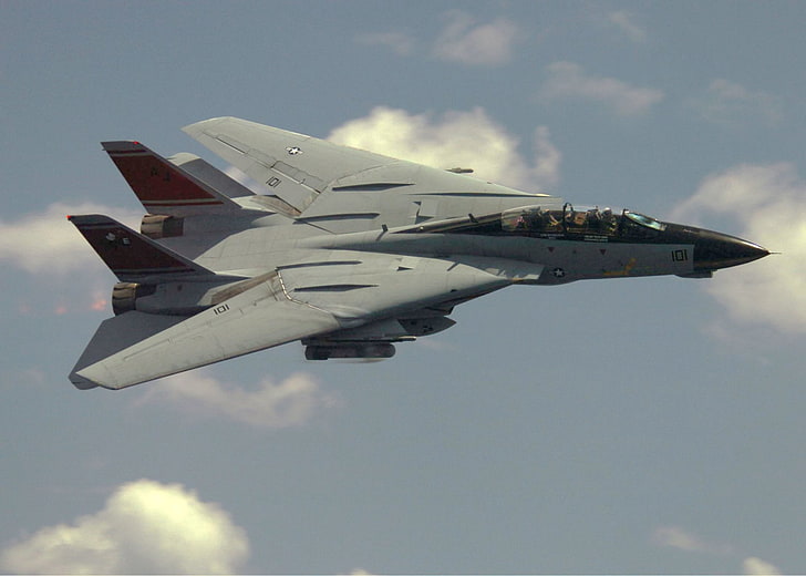 Jet Fighters, Grumman F-14 Tomcat