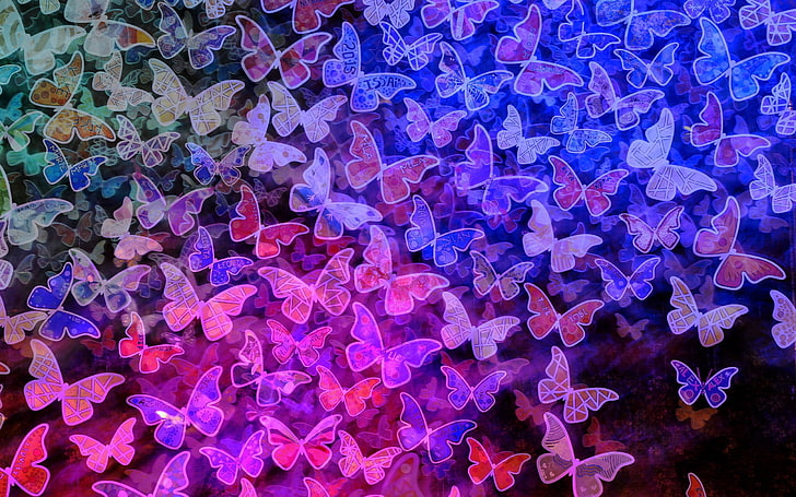 HD wallpaper: butterfly, pattern, backgrounds, full frame, no people, blue  | Wallpaper Flare