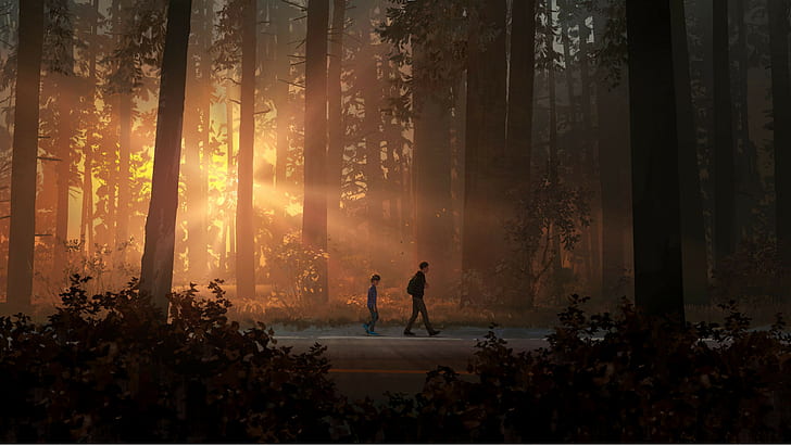 120 Life Is Strange HD Wallpapers and Backgrounds