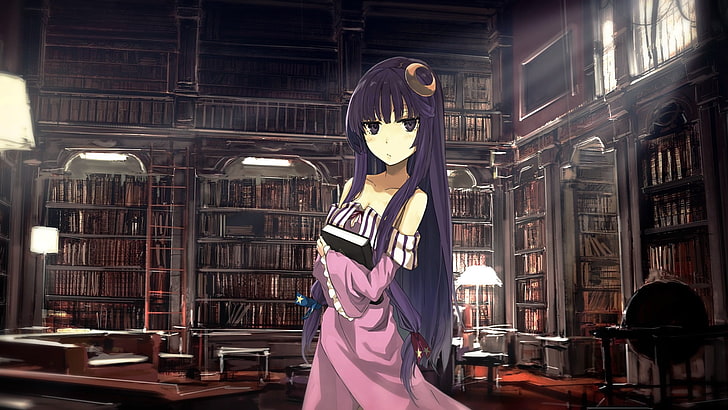 female anime character illustration, Touhou, library, purple hair