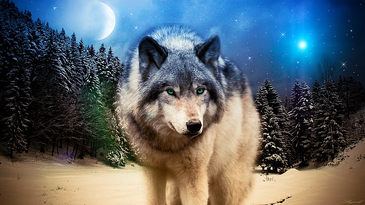 painting of brown and black wolf, animals, wildlife, Photoshop