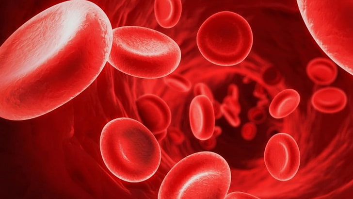 blood, red, 3d, healthcare and medicine, no people, science, HD wallpaper
