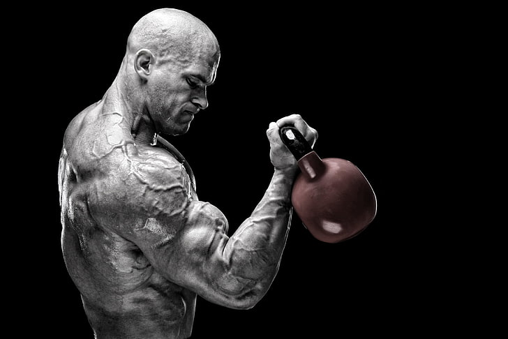 power, muscles, training, bodybuilder, peeled, Russian barbell, HD wallpaper