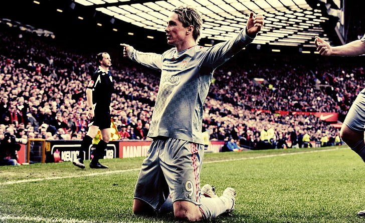 Fernando Torres, gray long-sleeved soccer jersey, Sports, Football