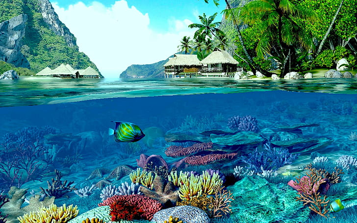 The Two Worlds, land, coral, water, coral reef, beach, ocean, HD wallpaper