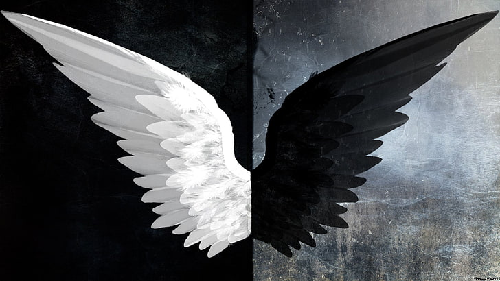 HD wallpaper: Fantasy, Angel, Black & White, Dark, Evil, Light, Wings |  Wallpaper Flare