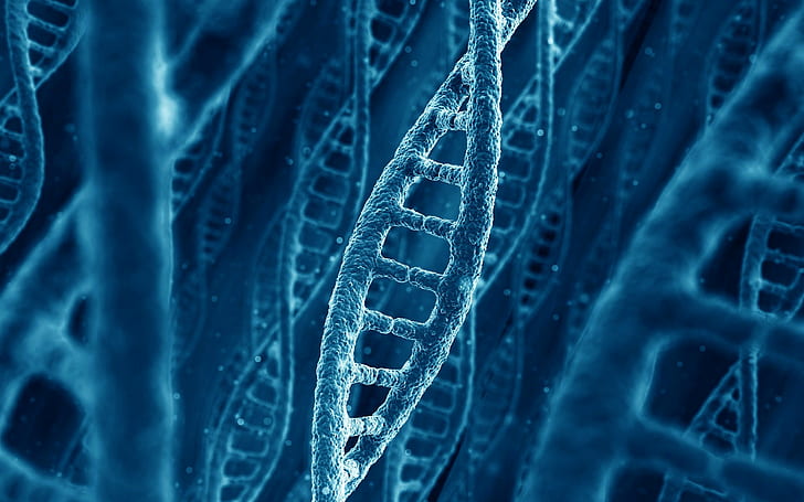 A DNA chain, blue dna graphic, molecule, the nature of
