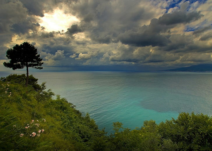 Golfo di Napoli, Italy, Bay of Naples, clouds, tree, coast, HD wallpaper