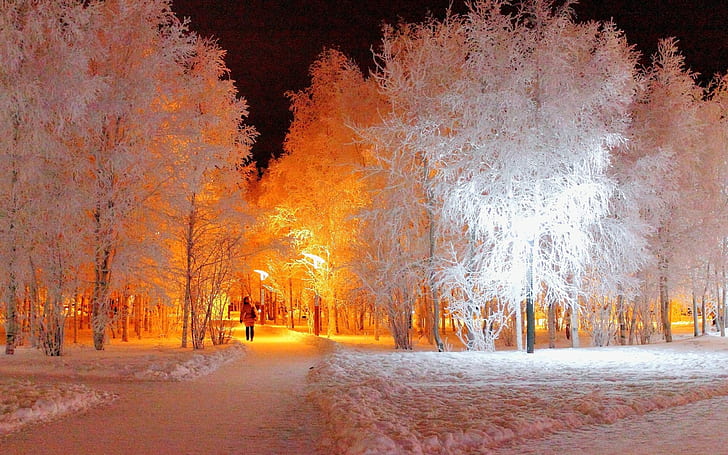 Beautiful Night in the Winter 4K wallpaper download