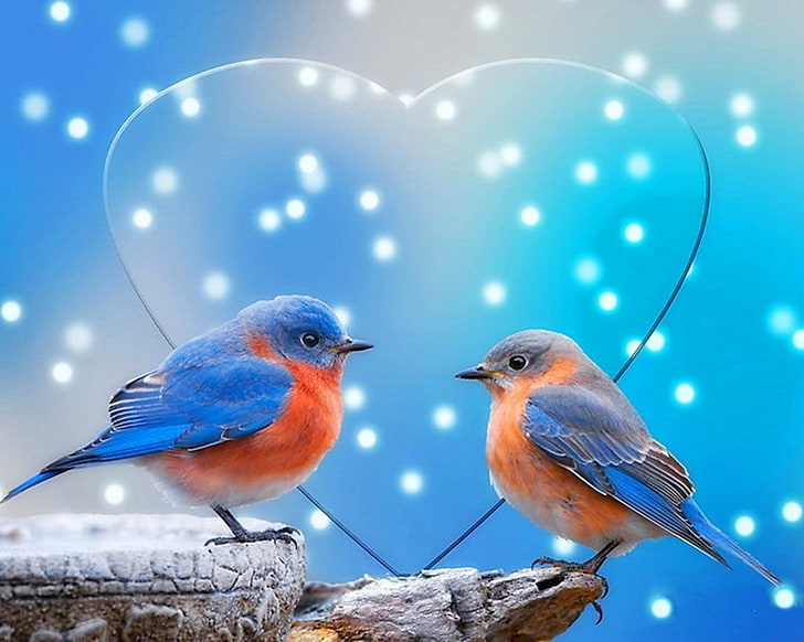 HD wallpaper: blue snow love birds hart 1280x1024 Animals Birds HD Art |  Wallpaper Flare