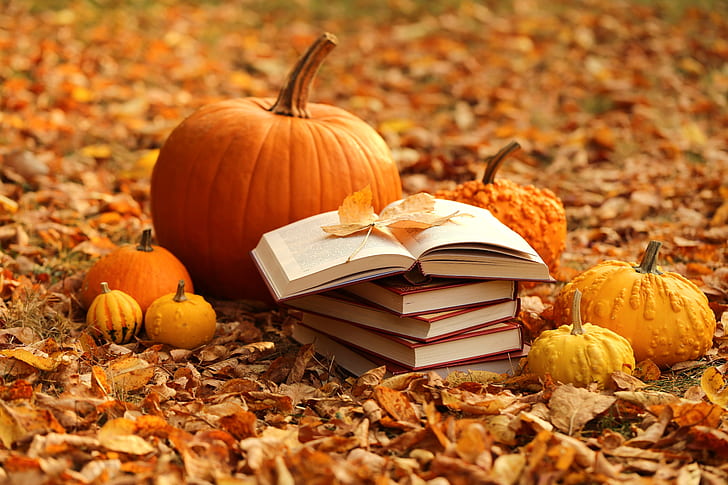 HD wallpaper: autumn, leaves, books, harvest, pumpkin, yellow | Wallpaper Flare