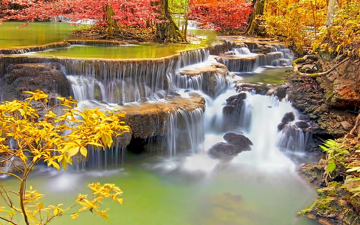 clear waterfalls, landscape, nature, colorful, trees, roots, tropical, HD wallpaper
