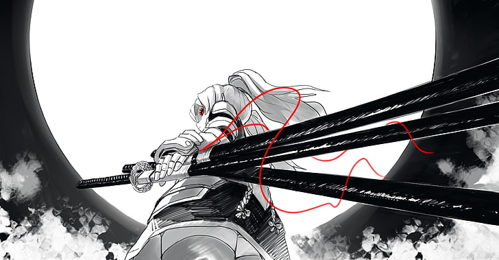 HD wallpaper: female anime character holding swords digital wallpaper,  drawing | Wallpaper Flare