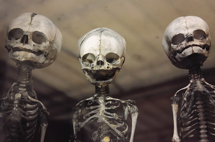 two white-and-black ceramic figurines, skeleton, skull, human skeleton